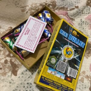 Mini Bullet
